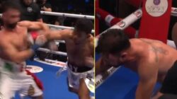 Mantan Kampiun Dunia Tinju Paulie Malignaggi Tumbang KO Ke Duel Bare-Knuckle