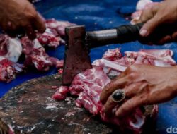Bungkus Daging Kurban Pakai Kresek Hitam, Amankah? Ini Kata Praktisi Medis Onkologi