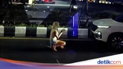 Viral Bule Hadang Kendaraan Pribadi Ke Nusa Dua, Ia Berlutut Minta Tolong