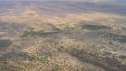 Tanda-tanda Lempeng Tektonik Terbaru Lahir Ke Afrika Ditemukan