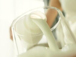 Di Susu Cair hingga Susu Kental Manis