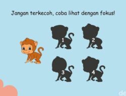 Kejelian Mata Bakal Diuji, Tebak Bayangan yang Sesuai Bersama Gambar