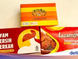 Cobain 3 Fried Chicken Lokal Murah Meriah, Mana Paling Enak?
