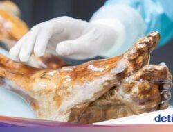Gokil! Eksperimen Bikin Sourdough pakai Ragi Di Tubuh Mumi