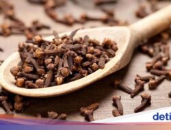 Arkeolog Temukan Cengkeh Tertua Hingga Dunia, Usianya Hampir 1.000 Tahun!