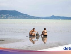Trend Populer Langka! “Pulau Monyet” Muncul Kembali Ke Danau Balaton Pada Air Surut