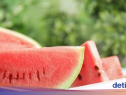 Jangan Sampai Zonk! Ini 5 Cara Memilih Semangka yang Manis Segar