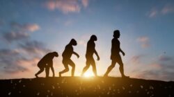 Titik Balik yang Mengubah Ukuran Manusia Purba Ditemukan