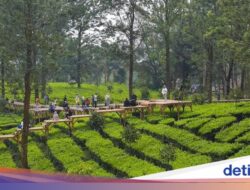 Pemkab Bogor Benahi Rest Area Puncak, Janjikan Wisatawan Makin Betah