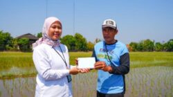 Petani hingga Buruh Pabrik Diundang Prabowo Ikut Upacara HUT RI Ke Istana