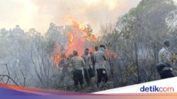 Taman Nasional Way Kambas Dilalap Api, Pemadaman Terhambat Akses