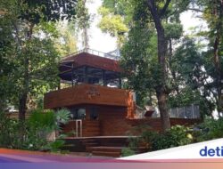Healing Sejenak Ke Kafe Bernuansa Hutan Ke Jakarta Pusat