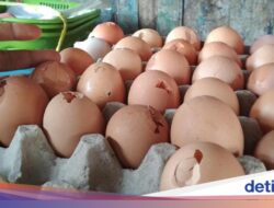 Telur Cangkangnya Retak, Masih Aman Dimakan? Ini Kata Ahli