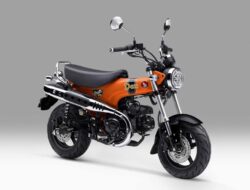Kecil-kecil Cabe Rawit, Honda ST125 Dax Dijual Rp84,5 Juta