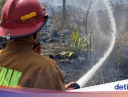 Karhutla Menghanguskan Kaki Gunung Guntur Ke Garut