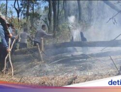 Gunung Lawu Kebakaran! Api Merembet Hingga Ngawi, Puluhan Hektare Lahan Terbakar